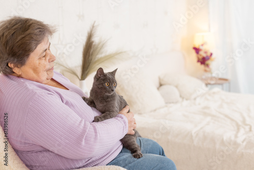 elderly people take care of cats and enjoy them at home