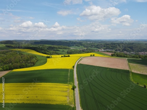 Drone view of a landscape with yellow blooming rapeseed, green growing crop fields, plowed land with soil and a ashpalt road on a nice day with a blue sky in spring  photo