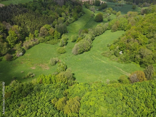 Landscape with trees and grass from above © Mentor