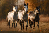 horses running in the meadow at sunset with warm autumn colors - generative ai