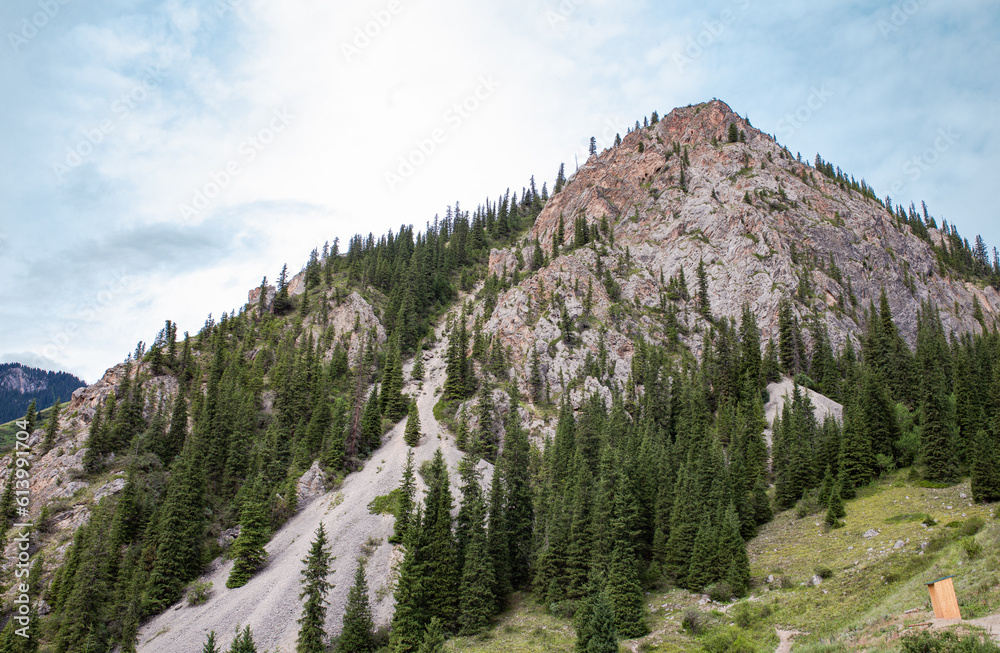 rocky peak of the mountain with green fir trees in summer