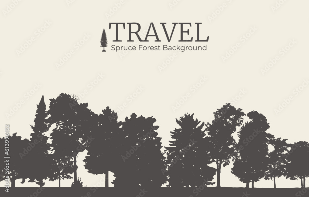 Fototapeta premium Spruce forest background. Pine silhouette background