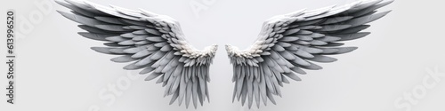 angel_wings_isolated_on_white_background