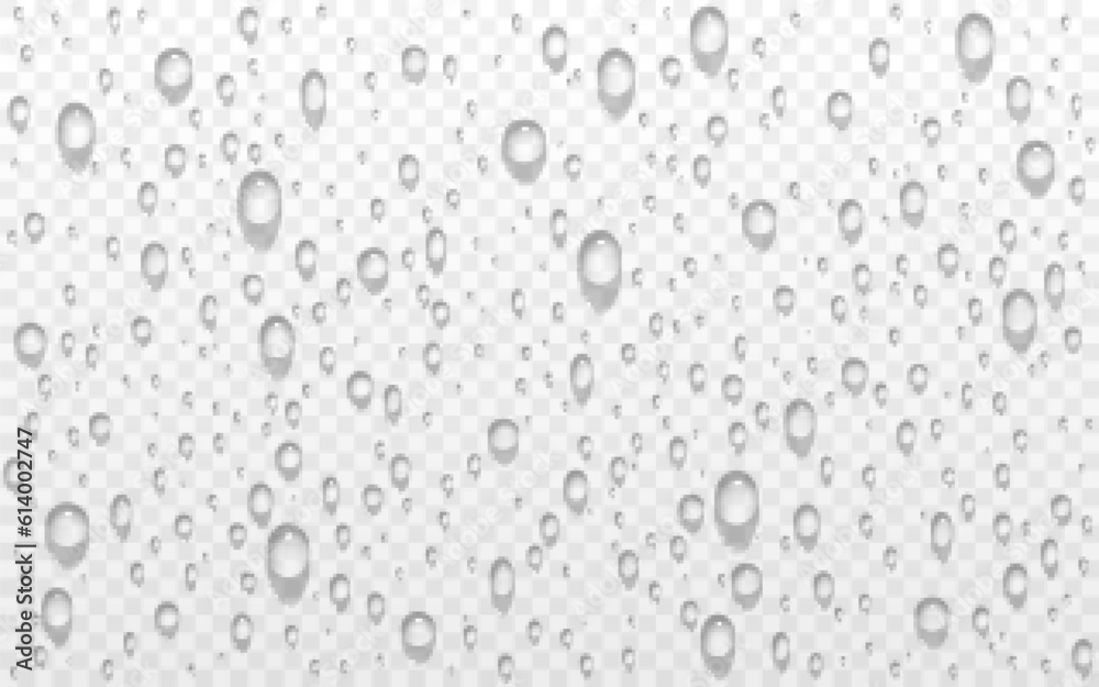 Water drops on transparent backdrop. Droplets with shadow. Wet window with rain effect. Realistic dew drops. Shower water bubbles. Raindrop closeup. Vector illustration