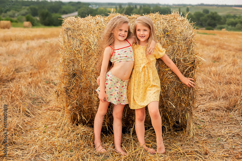 two blonde girls with long hair are standing by a haystack in a field hugging two blonde girls with long hair are standing by a haystack in a field hugging