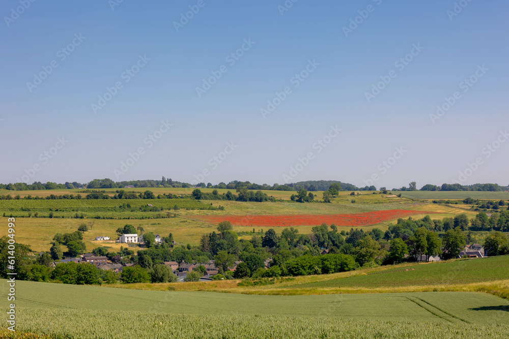 Summer landscape, Terrain of hilly countryside in Zuid-Limburg, Small houses on hillside, Green grass and Papaver rhoeas (poppy) Gulpen-Wittem is a villages in Dutch province of Limburg, Netherlands.