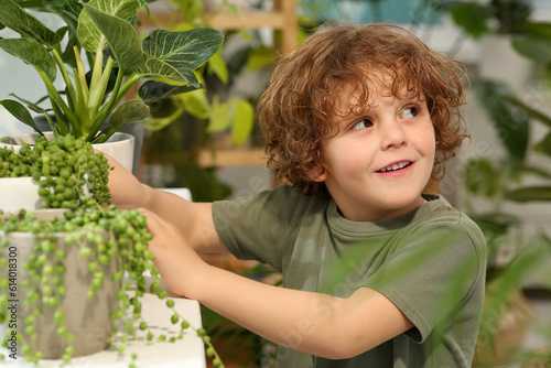Cute little boy taking care of beautiful green plant at home. House decor