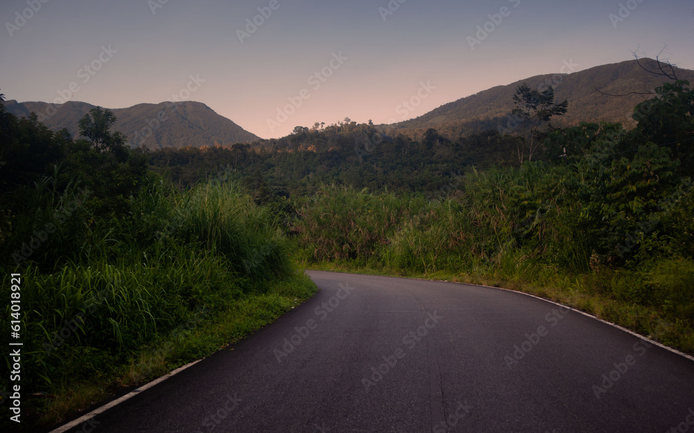Fototapeta premium road to the mountains