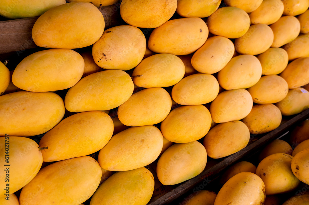 Rows of ripe Guimaras Mangoes, renowned for its exceptional sweetness. At a fruit stall in the town of Jordan. Rows of ripe Guimaras Mangoes, renowned for its exceptional sweetness. At a fruit stall in the town of Jordan.