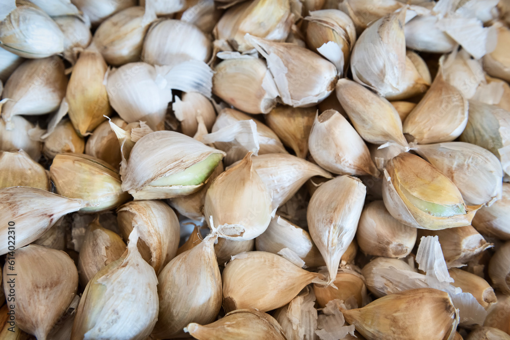 Elephant garlic cloves Elephant garlic cloves