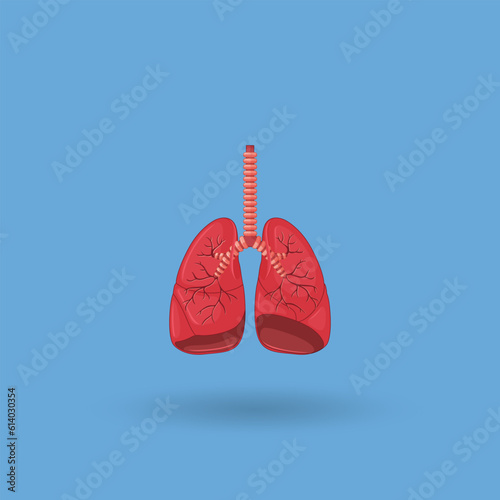 illustration anatomy of the human lugs