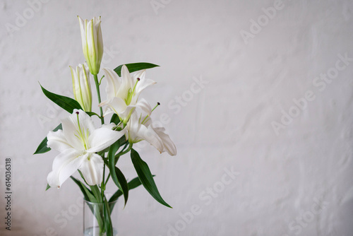 Fototapeta Naklejka Na Ścianę i Meble -  White lily in a vase against a white textured wall.