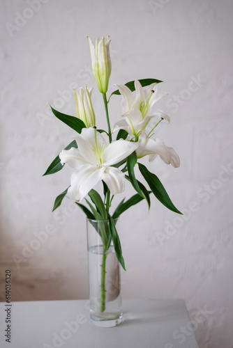 White lily in a vase against a white textured wall.