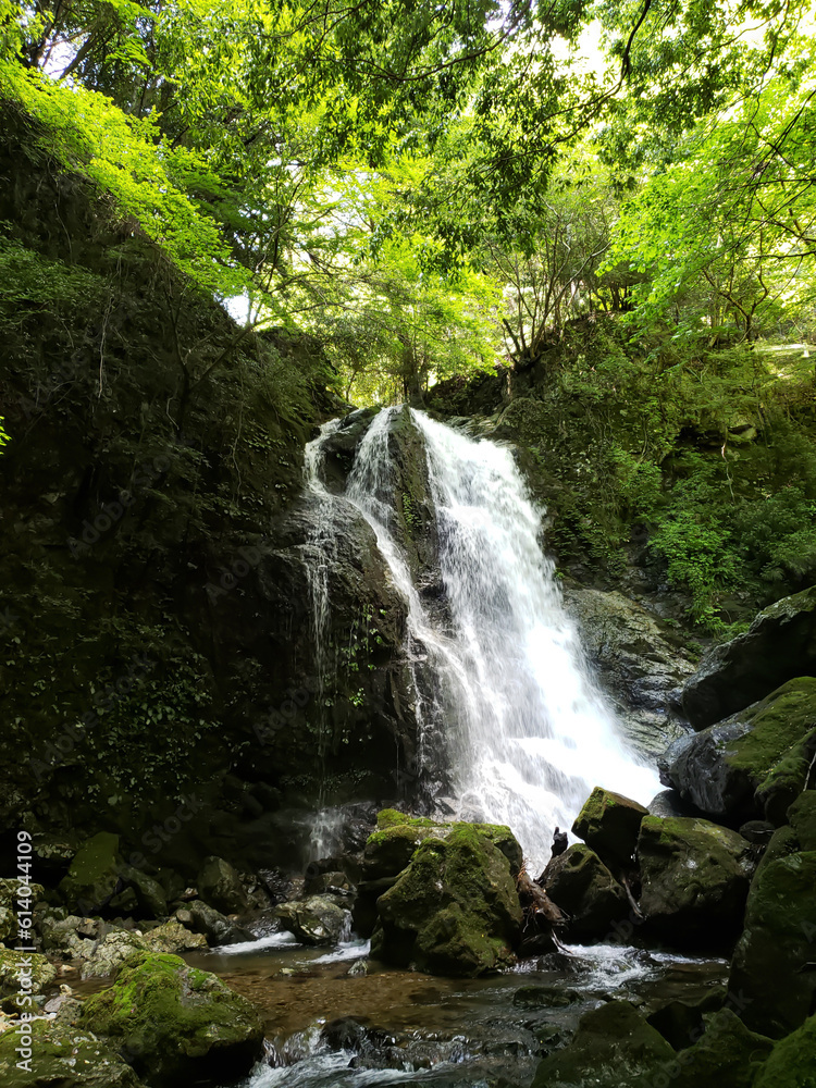 Fototapeta premium 延ヶ滝
