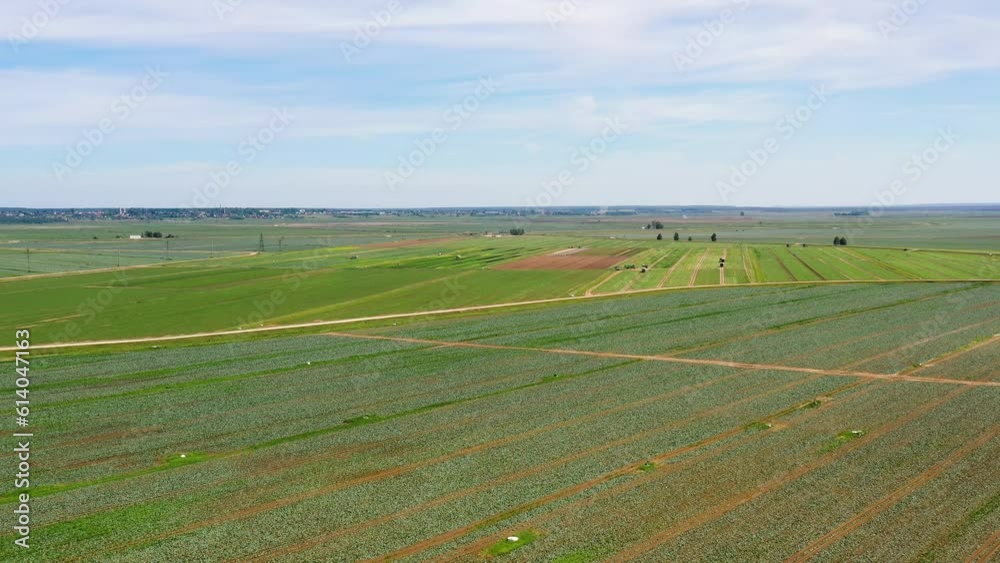 Agricultural land with with green crops and agricultural machinery top view. Countryside with farmland. Agricultural land with with green crops and agricultural machinery top view. Countryside with farmland.