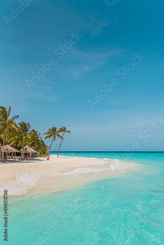 Fototapeta Naklejka Na Ścianę i Meble -  beach with palm trees
