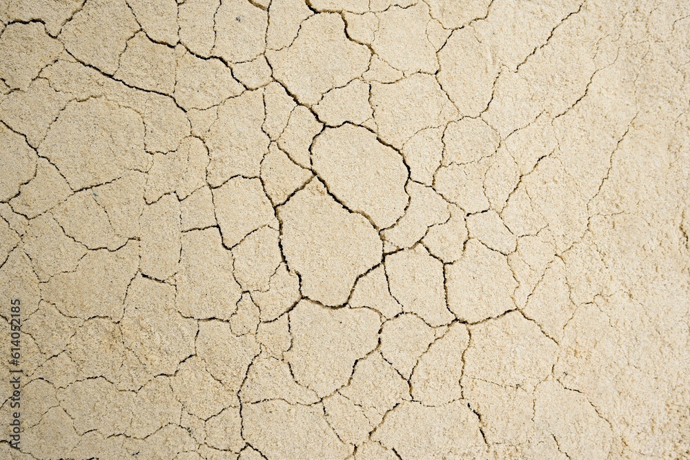 cracked earth texture cracked earth texture