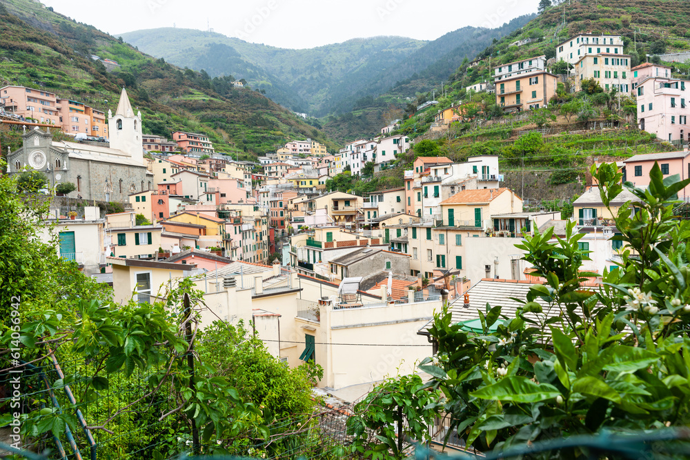 Colorful multicolored buildings houses on green hill in valley of Riomaggiore traditional typical Italian fishing village