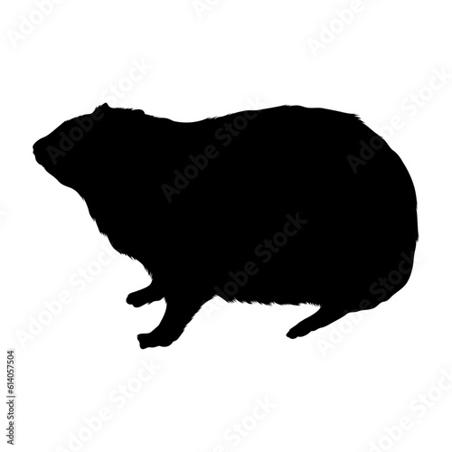 Standing Rock Hyrax Silhouette. Good To Use For Element Print Book, Animal Book and Animal Content photo