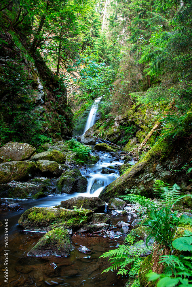 Ravenna gorge