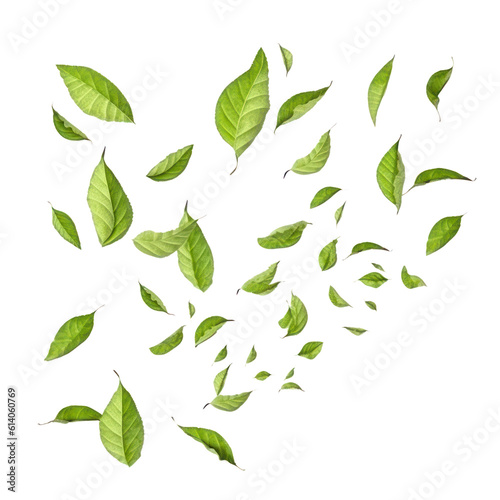 falling leaves isolated on transparent background cutout