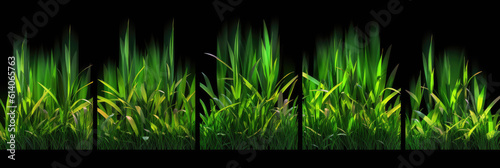 green grass black background