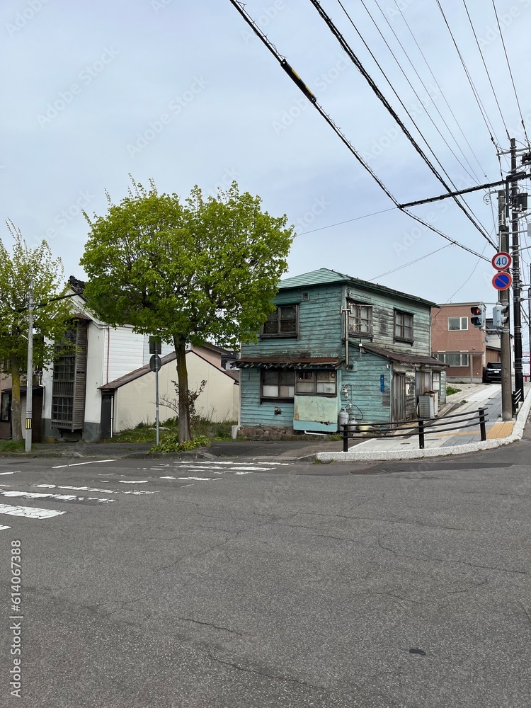 Fototapeta premium 函館の街並み