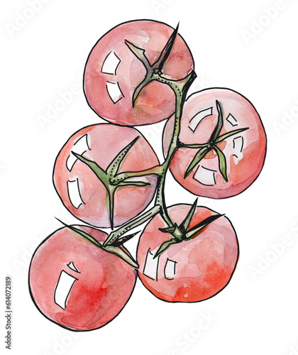 Healthy eating ingredients. Tomatos on a branch. Vegetable. Keto food.  Vector illustration. Watercolor, ink