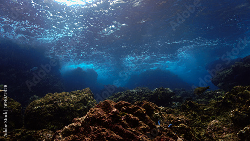 Underwater photo of rays of sunligt over a coral reef