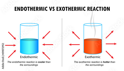 Diagram of the Endothermic and Exothermic reactions photo