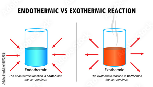 Diagram of the Endothermic and Exothermic reactions