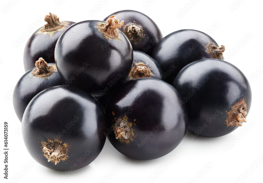 Black currant isolated Black currant isolated