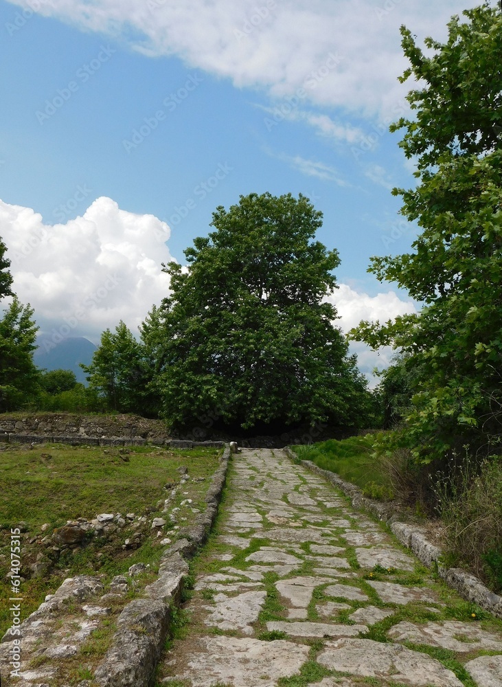 View of a street of the ancient city of Dion, in Greece View of a street of the ancient city of Dion, in Greece