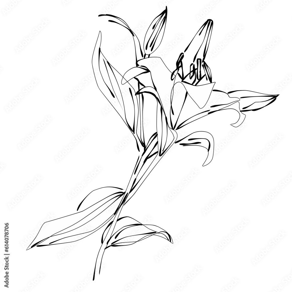 black and white flowers black and white flowers