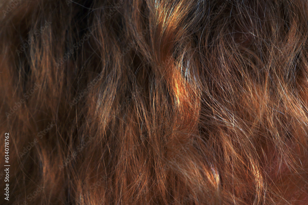 Naklejka premium dyed female brown hair background, brunette woman's hair