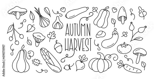 Autumn Harvest Doodle Collection. Cute Cartoon Hand Drawn Vegetables and Mushrooms with Lettering. Harvest and Fall Design elements Editable Stroke.