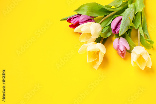 Beautiful tulips on yellow background  closeup
