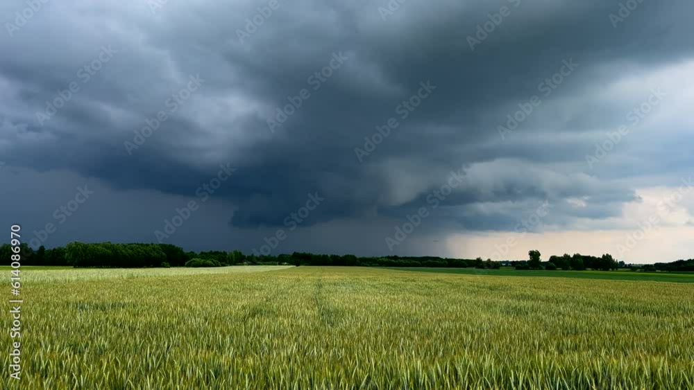 Storm clouds over summer green field. Polish landscape. Storm clouds over summer green field. Polish landscape.