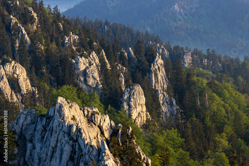 Limestone rocks in the forest on Bijele stijene mountains in Croatia