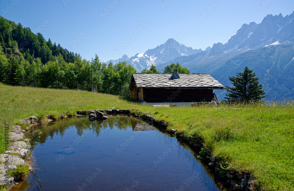 Fototapeta premium Paysage de montagne en été