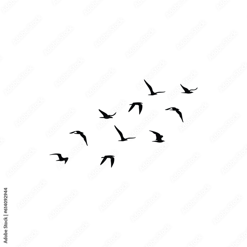 vector of flock of birds vector of flock of birds