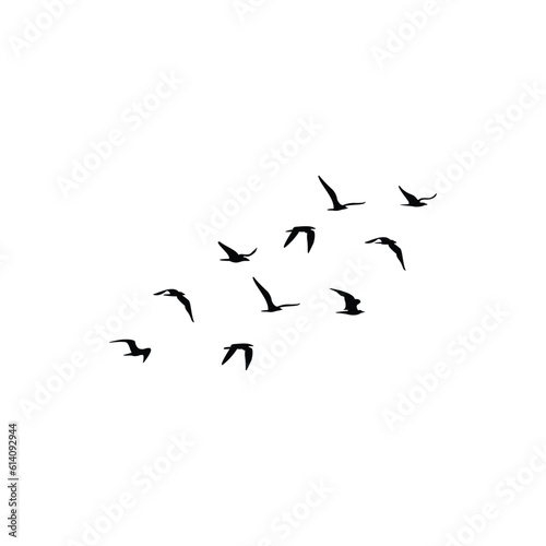 vector of flock of birds