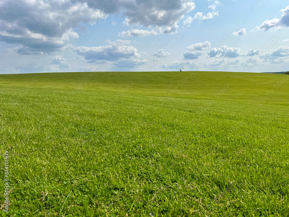 A wonderful open-air park. sunny weather and light clouds in the sky create an amazing atmosphere. Beautiful sunny summer day A wonderful open-air park. sunny weather and light clouds in the sky create an amazing atmosphere. Beautiful sunny summer day