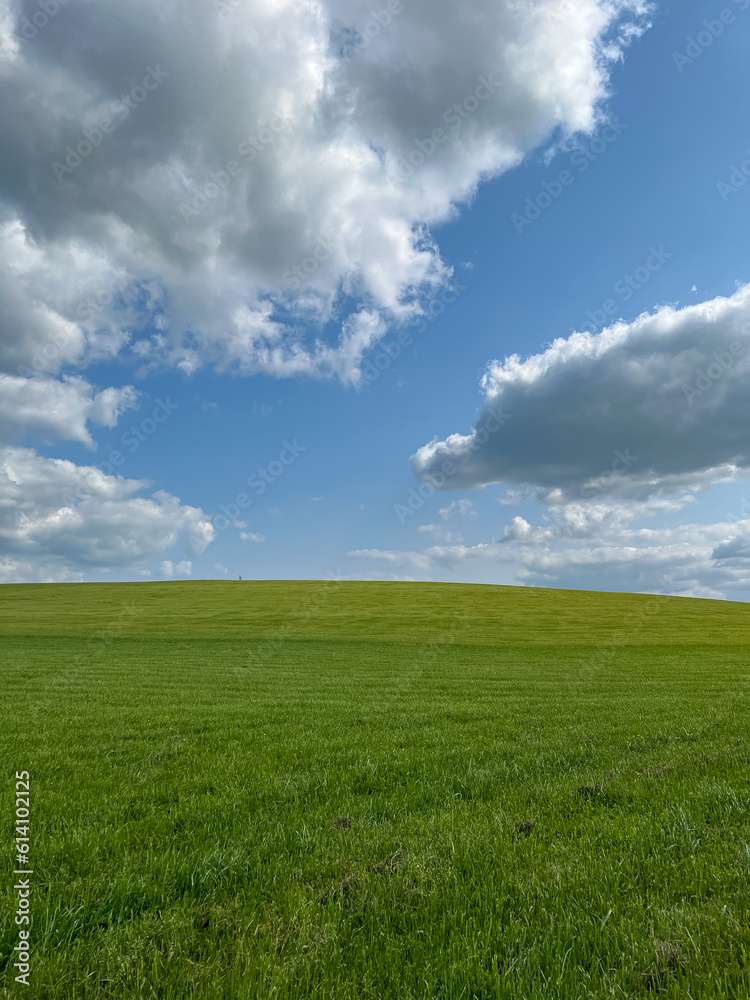 A wonderful open-air park. sunny weather and light clouds in the sky create an amazing atmosphere. Beautiful sunny summer day