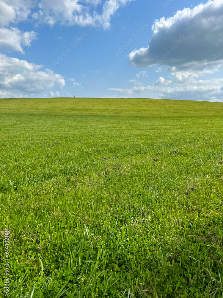 A wonderful open-air park. sunny weather and light clouds in the sky create an amazing atmosphere. Beautiful sunny summer day A wonderful open-air park. sunny weather and light clouds in the sky create an amazing atmosphere. Beautiful sunny summer day