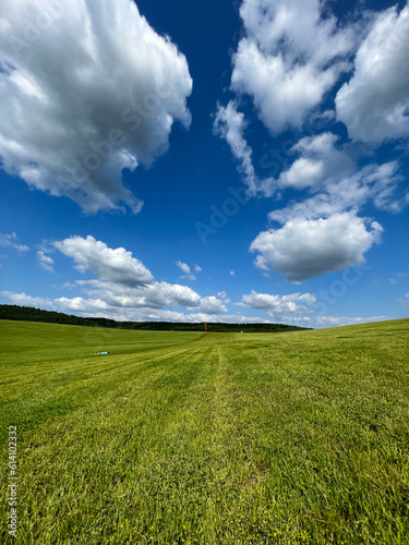 A wonderful open-air park. sunny weather and light clouds in the sky create an amazing atmosphere. Beautiful sunny summer day