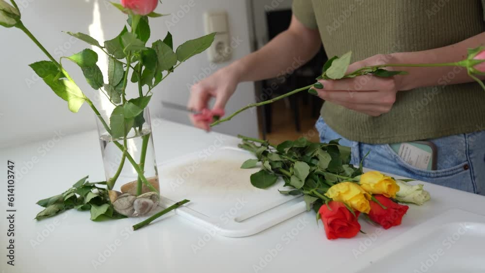 Rose cut flower care instructions. Pruning stem, arranging bouquet