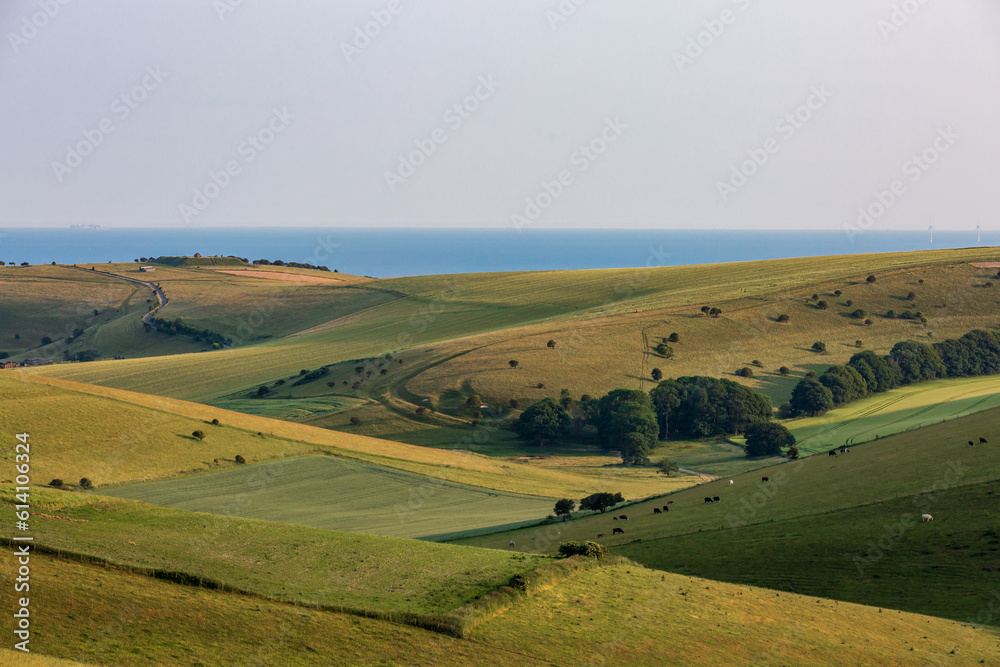 A rolling South Downs landscape looking towards the sea, from Kingston Ridge in Sussex