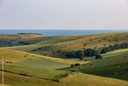A rolling South Downs landscape looking towards the sea, from Kingston Ridge in Sussex
