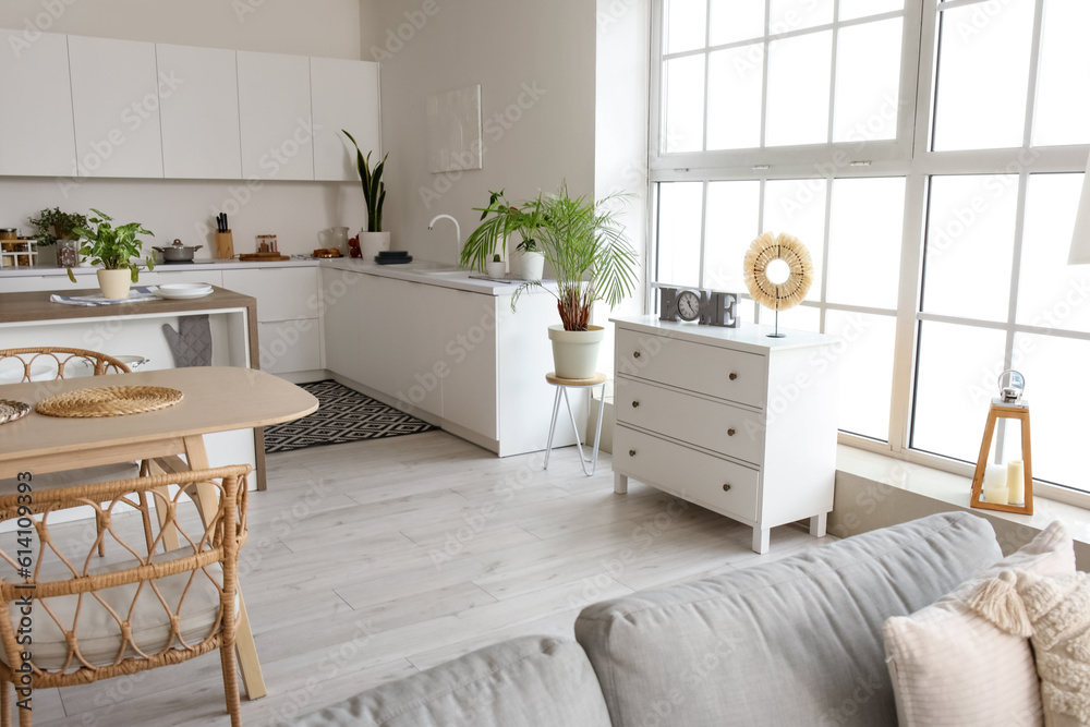 Fototapeta premium Interior of light open plan kitchen with grey sofa and chest of drawers